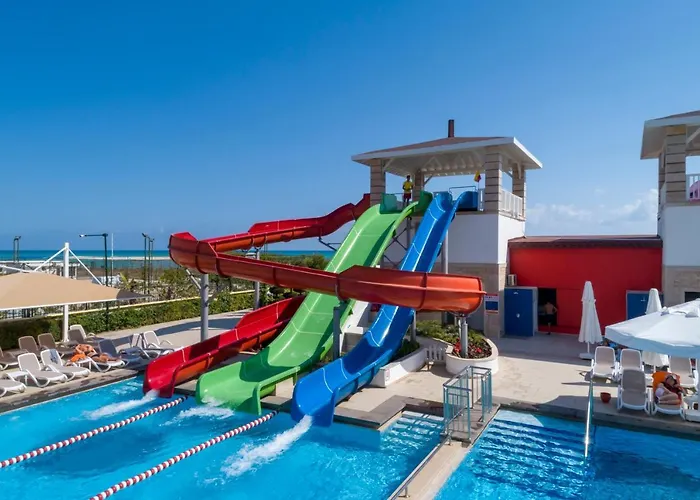 Orange County 베렉