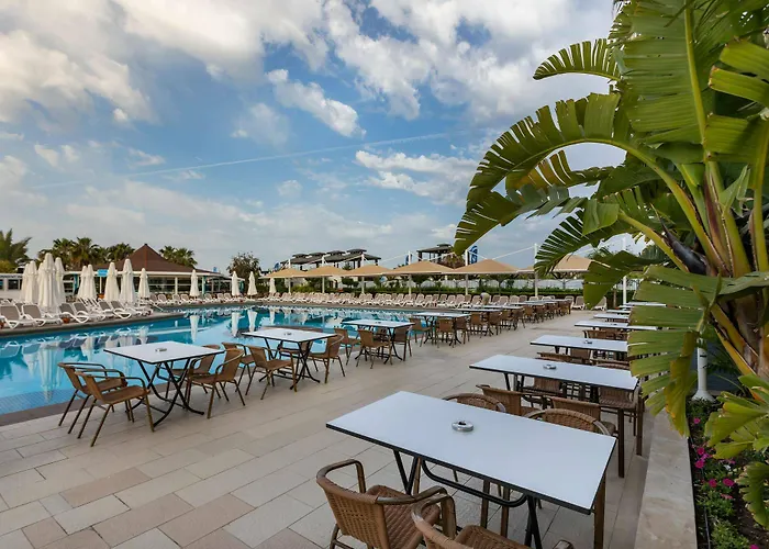 Orange County 베렉